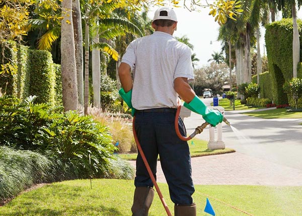 About Windsor NC Pest Control
